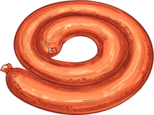Sausage drawing