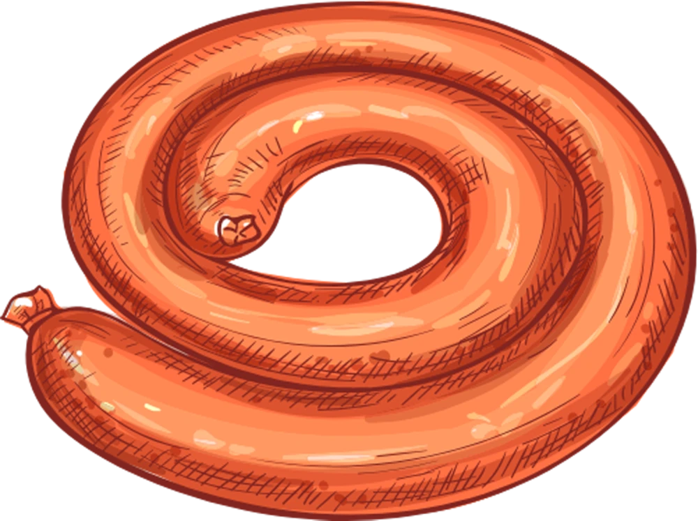 Sausage drawing